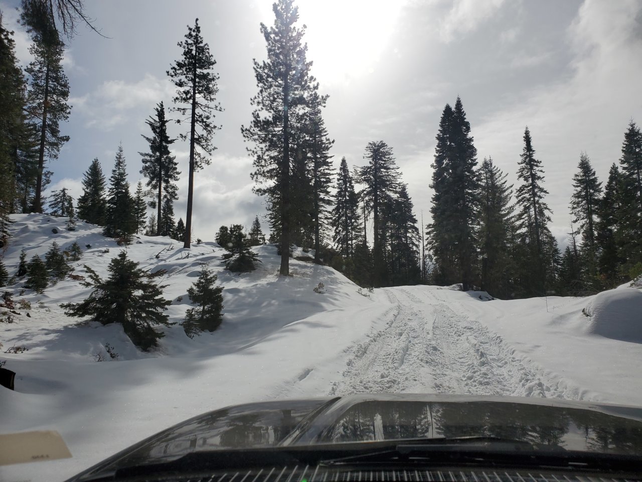 20210216_103345.jpg