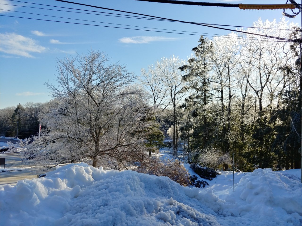 20210217_075729_HDR.jpg
