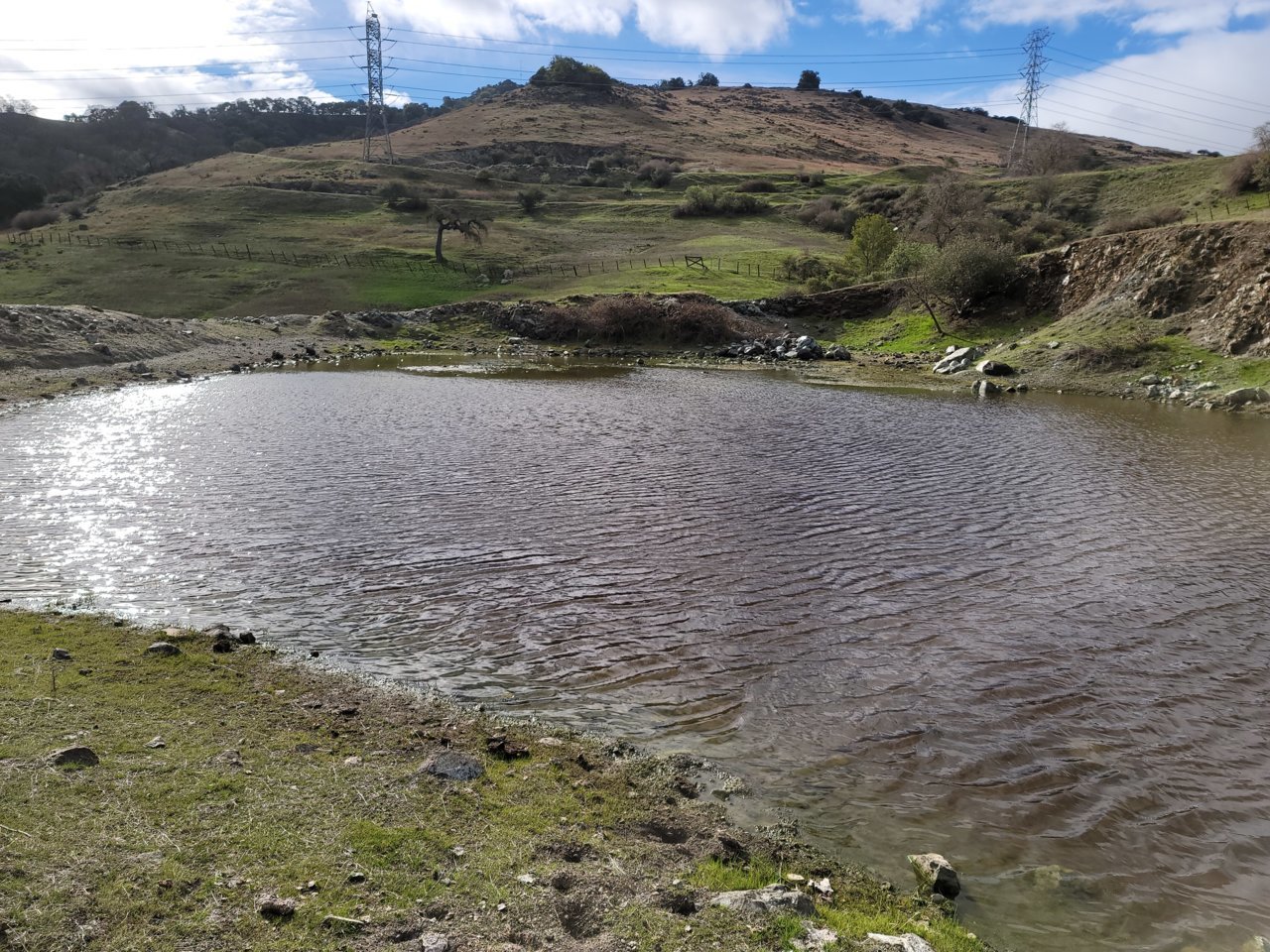 20210219_094252.jpg