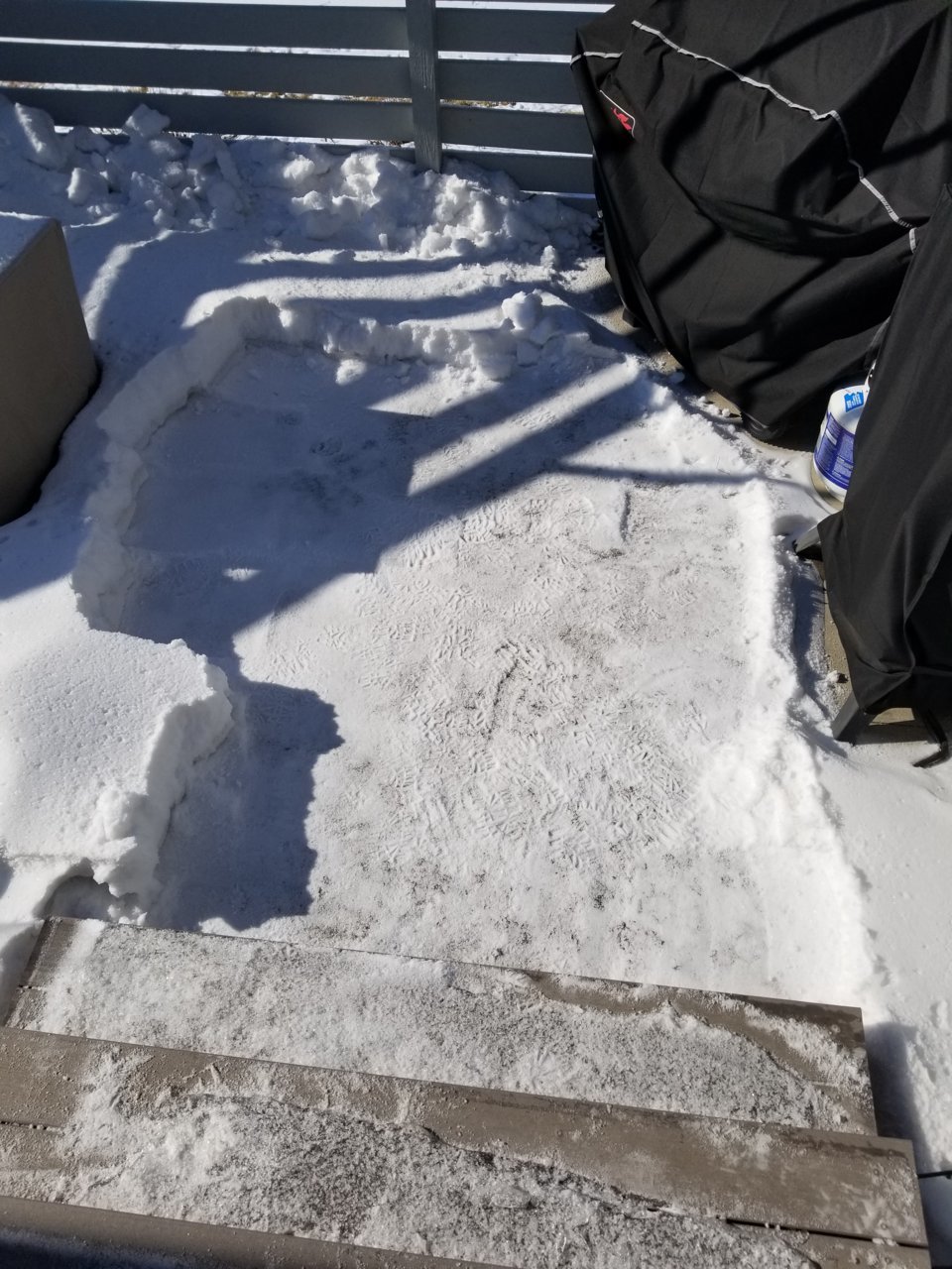 20210219_123053.jpg