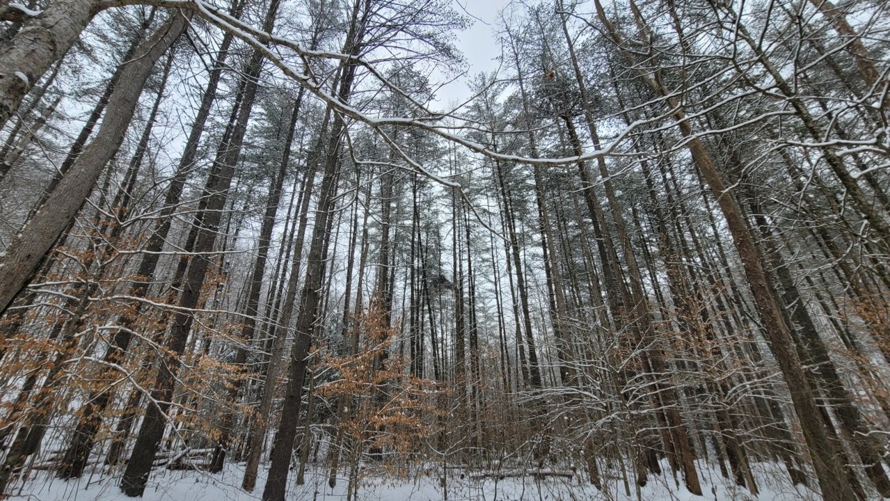 20210219_135504.jpg