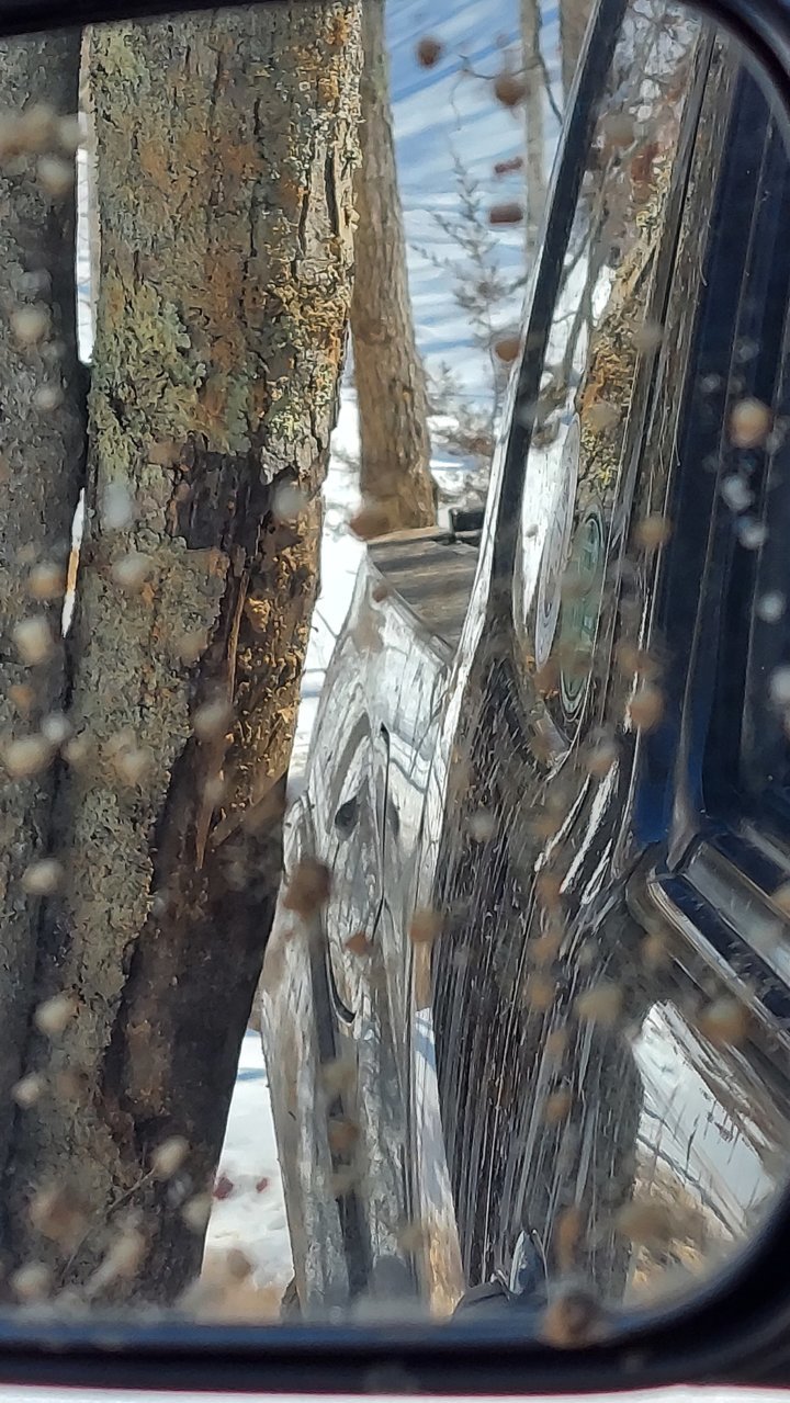 20210220_131502.jpg