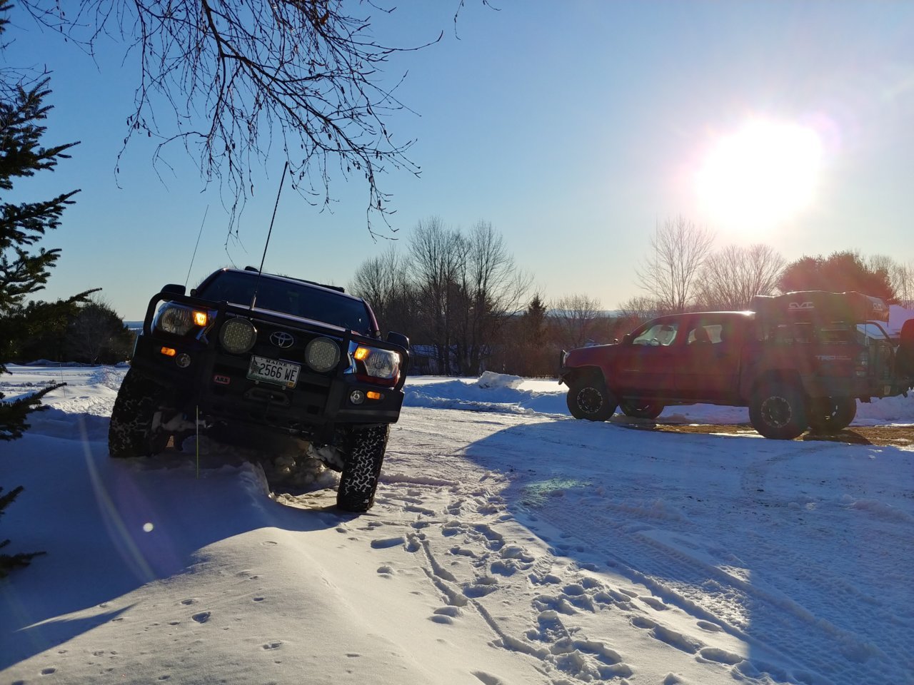 20210221_162228_HDR.jpg
