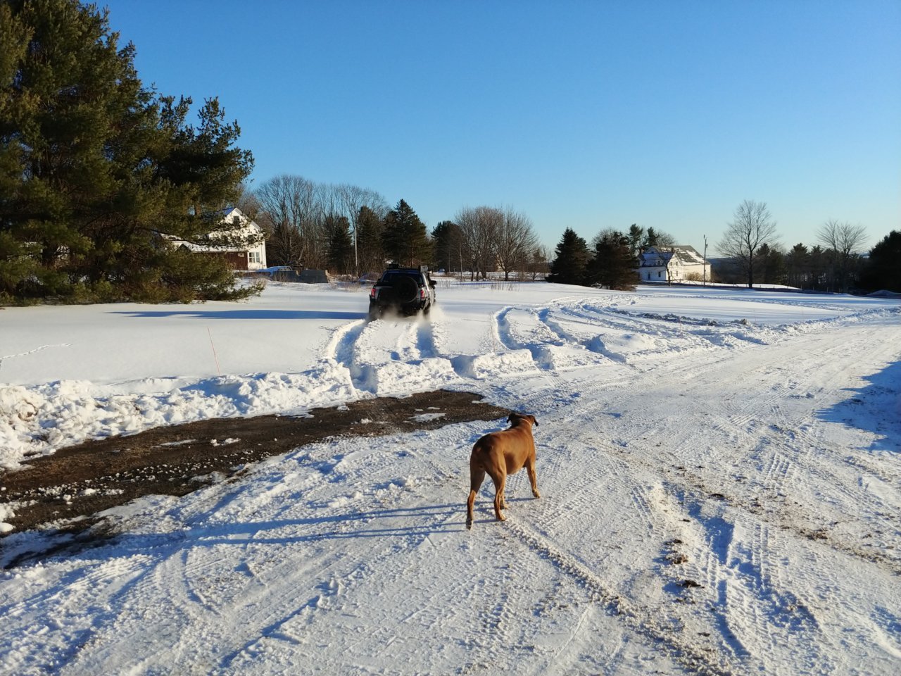 20210221_162935.jpg