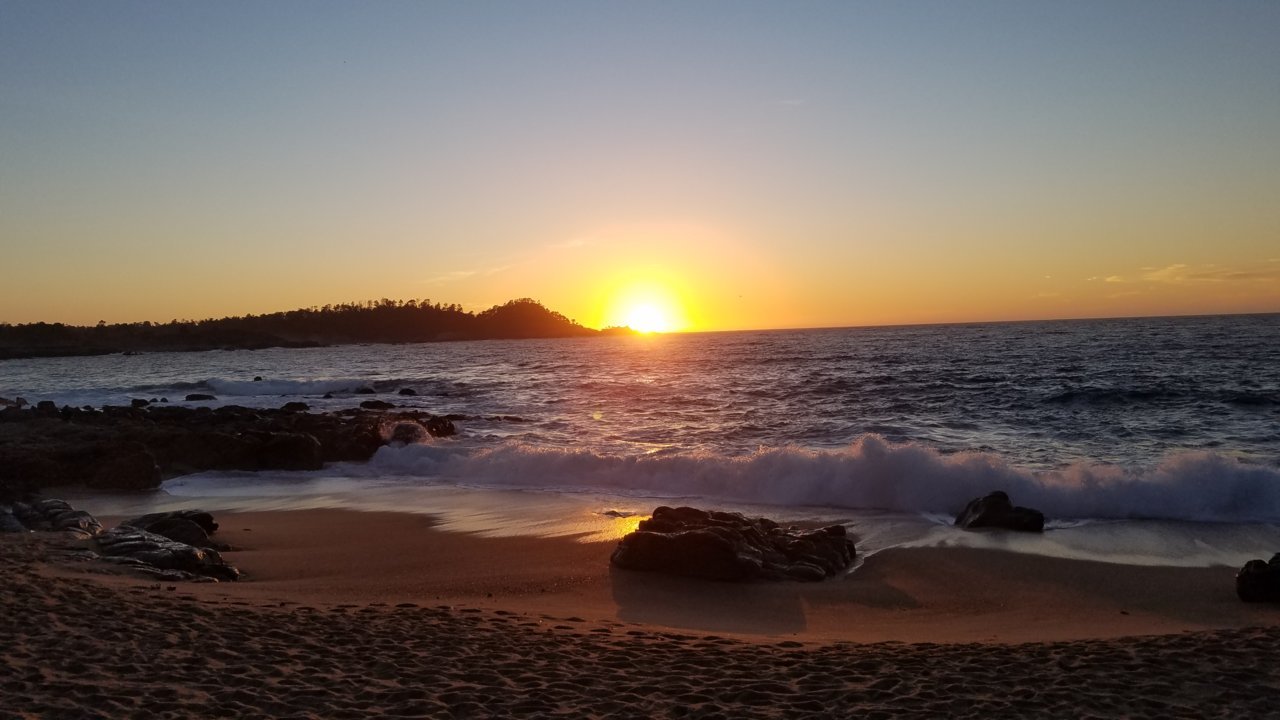 20210221_175036.jpg