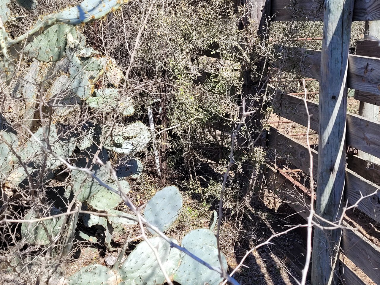 20210223_113301.jpg