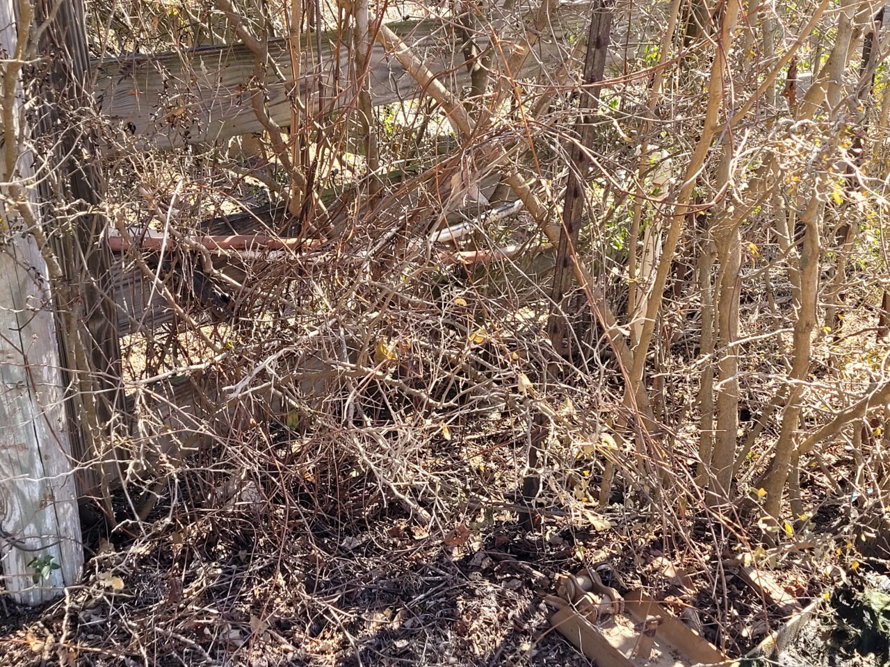 20210223_113319.jpg