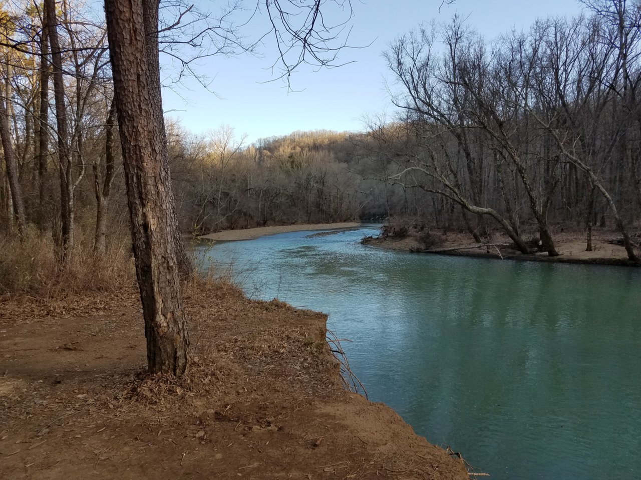 20210223_171006.jpg