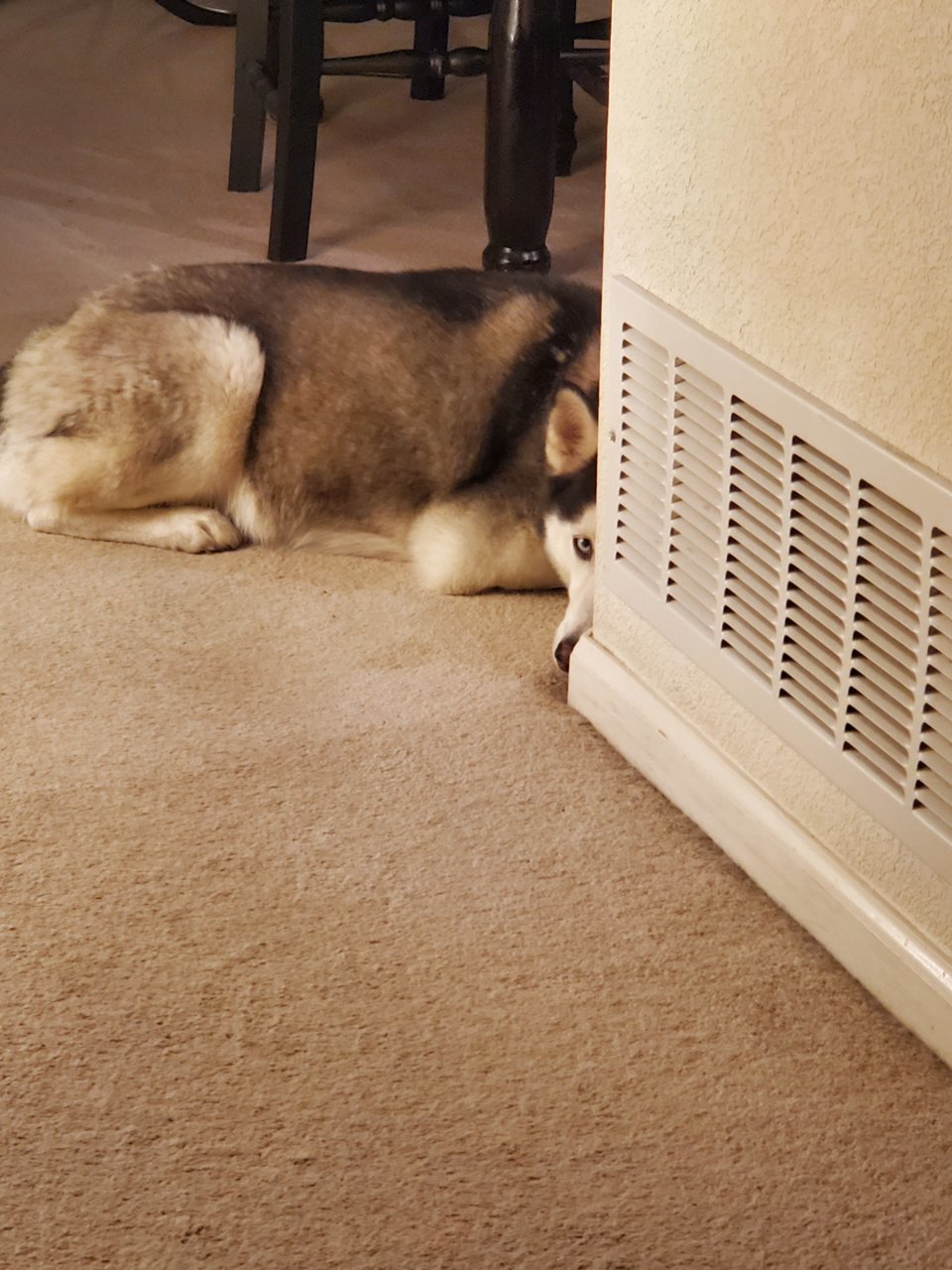 20210223_213341.jpg