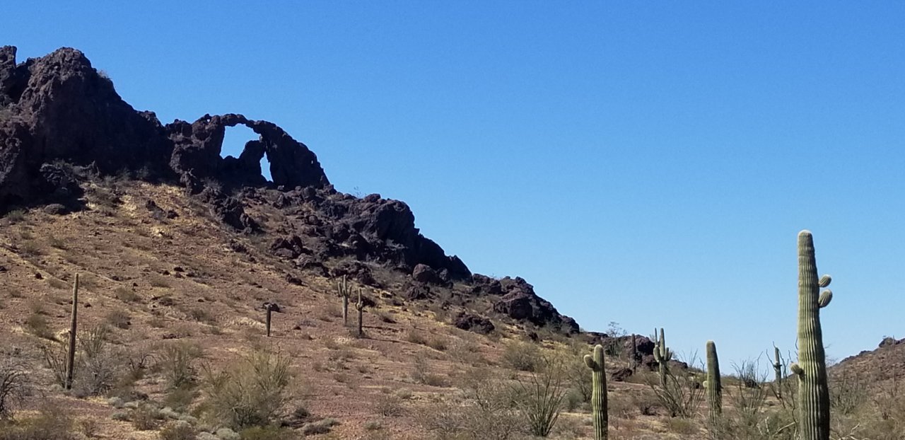 20210226_141109.jpg