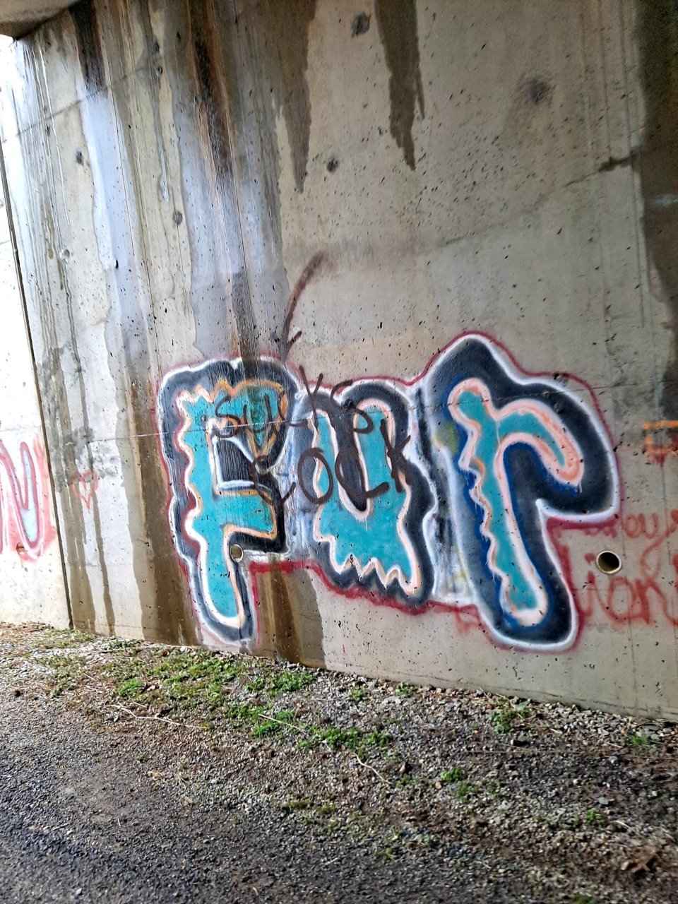 20210226_153140.jpg