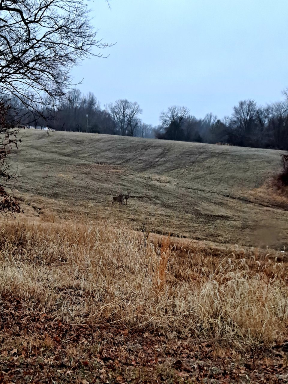 20210226_170848.jpg