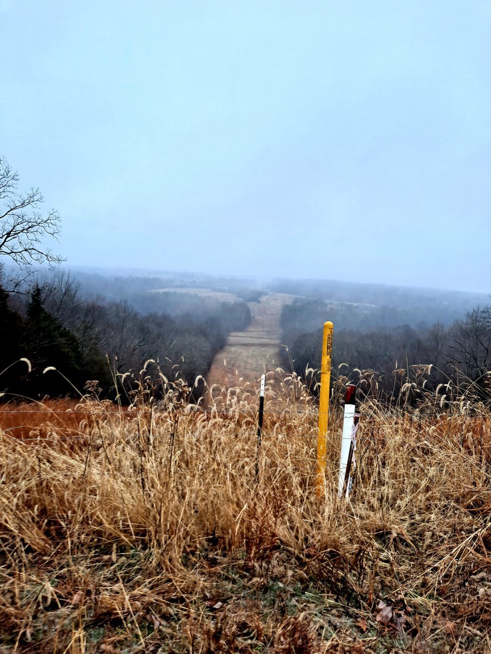 20210226_171635.jpg