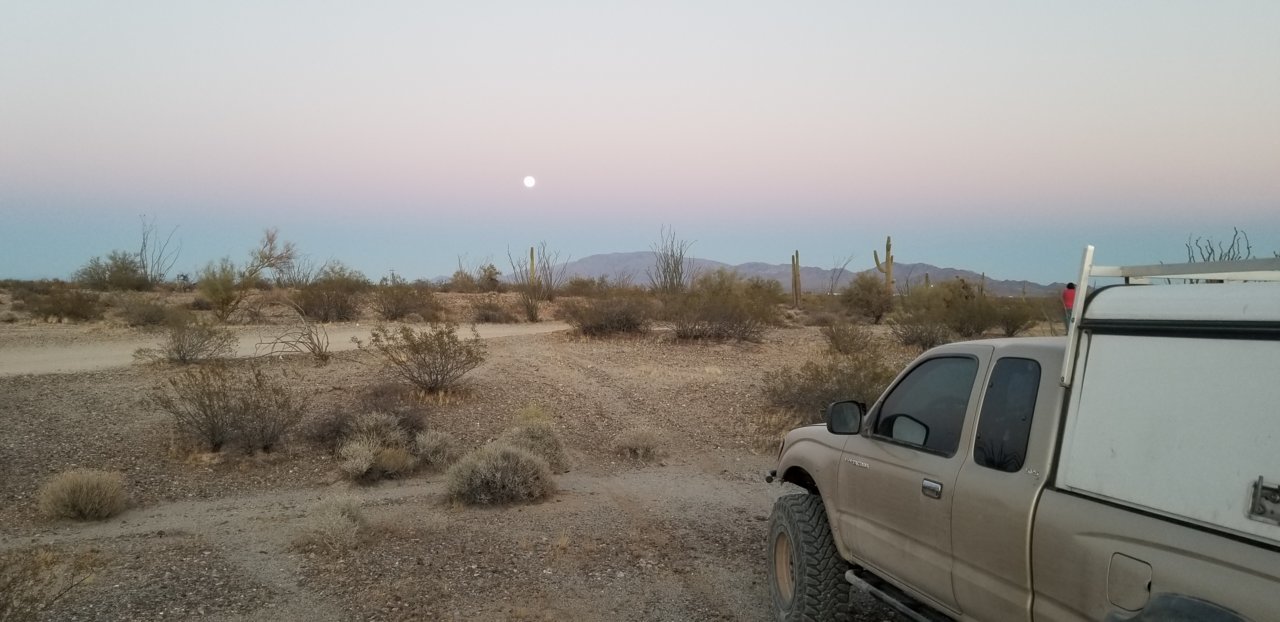20210226_183534.jpg