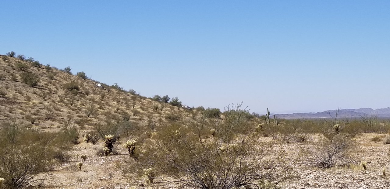 20210227_120833.jpg
