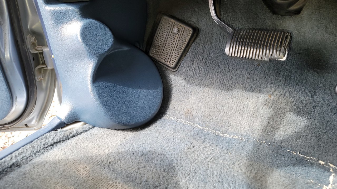 20210228_134555.jpg