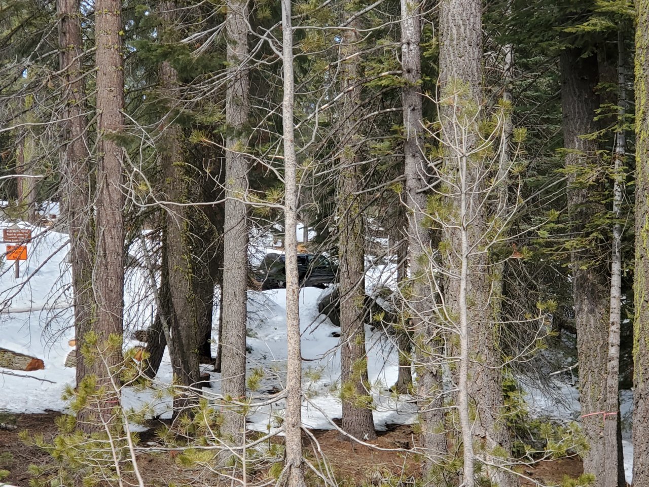 20210302_131759.jpg