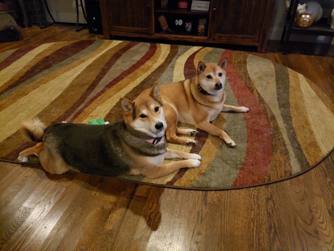 20210302_201734.jpg
