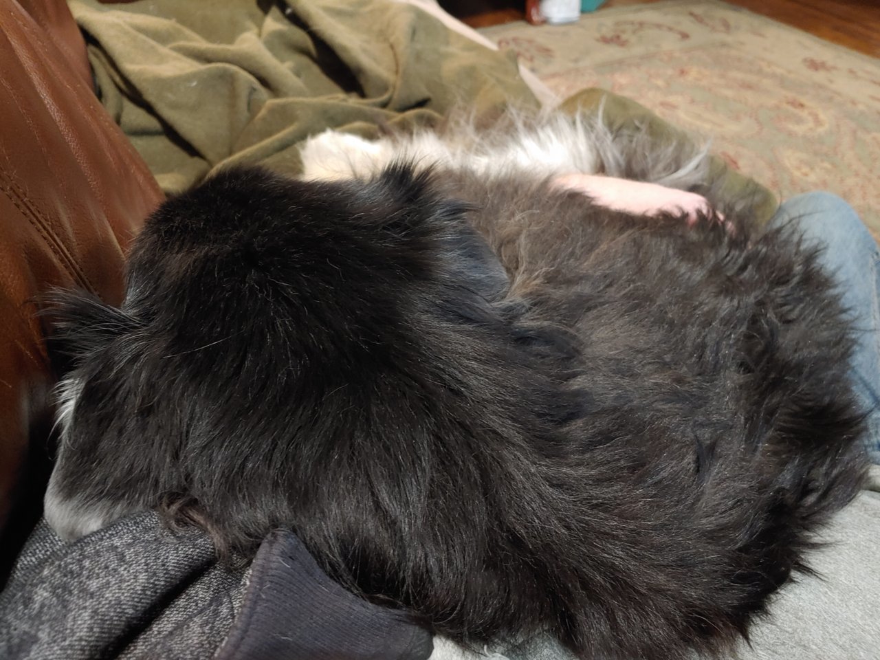 20210302_203047.jpg