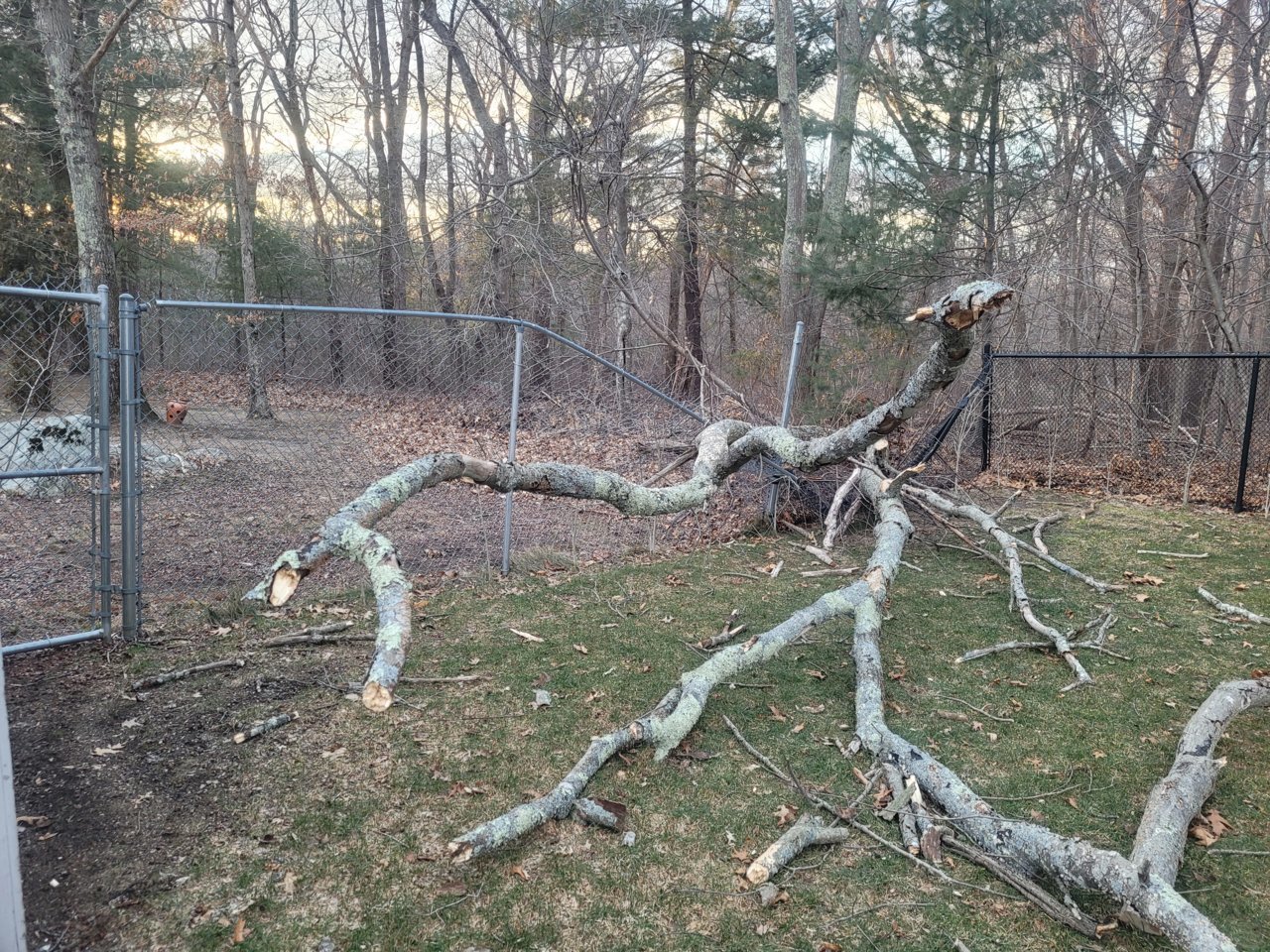 20210303_170702.jpg