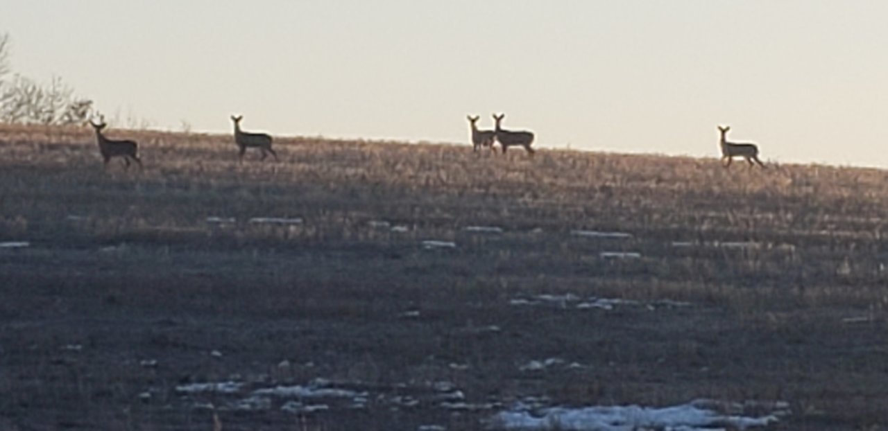 20210304_065517.jpg