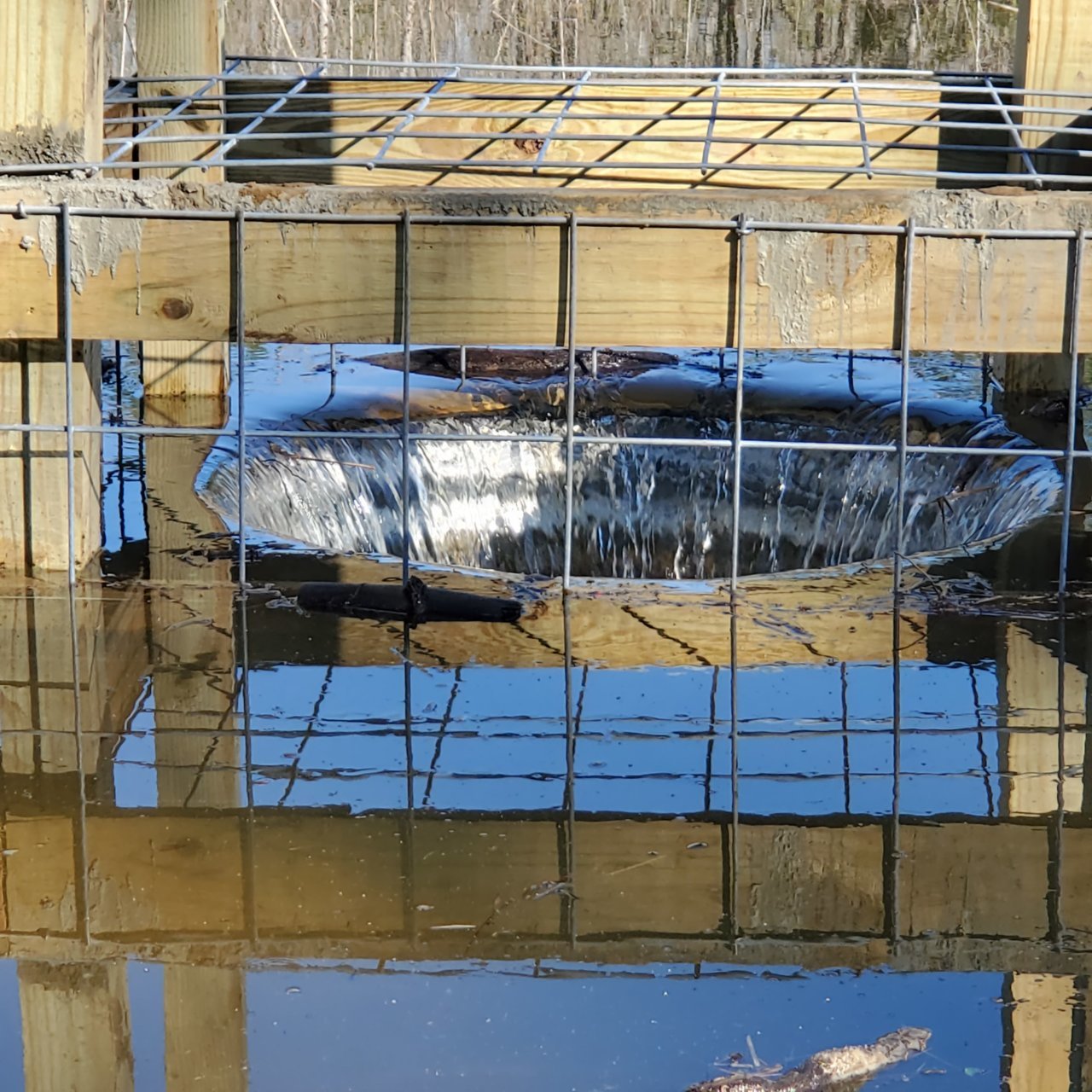 20210304_083200.jpg