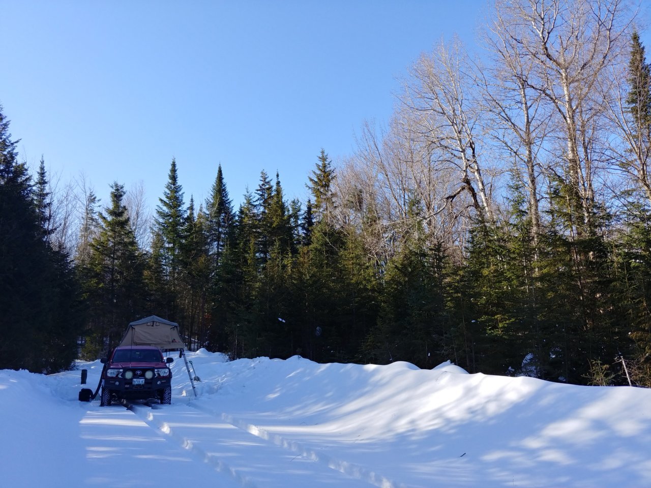 20210307_082044_HDR.jpg