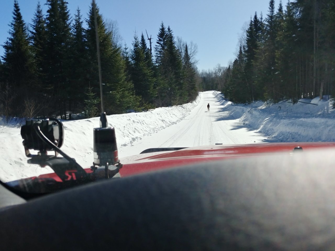 20210307_103547_HDR.jpg