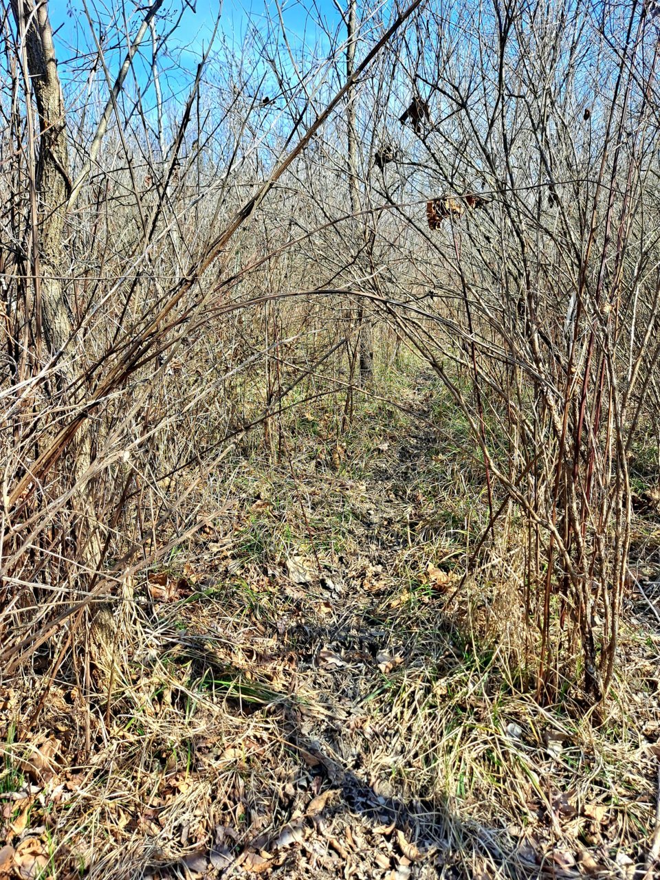 20210308_101527.jpg