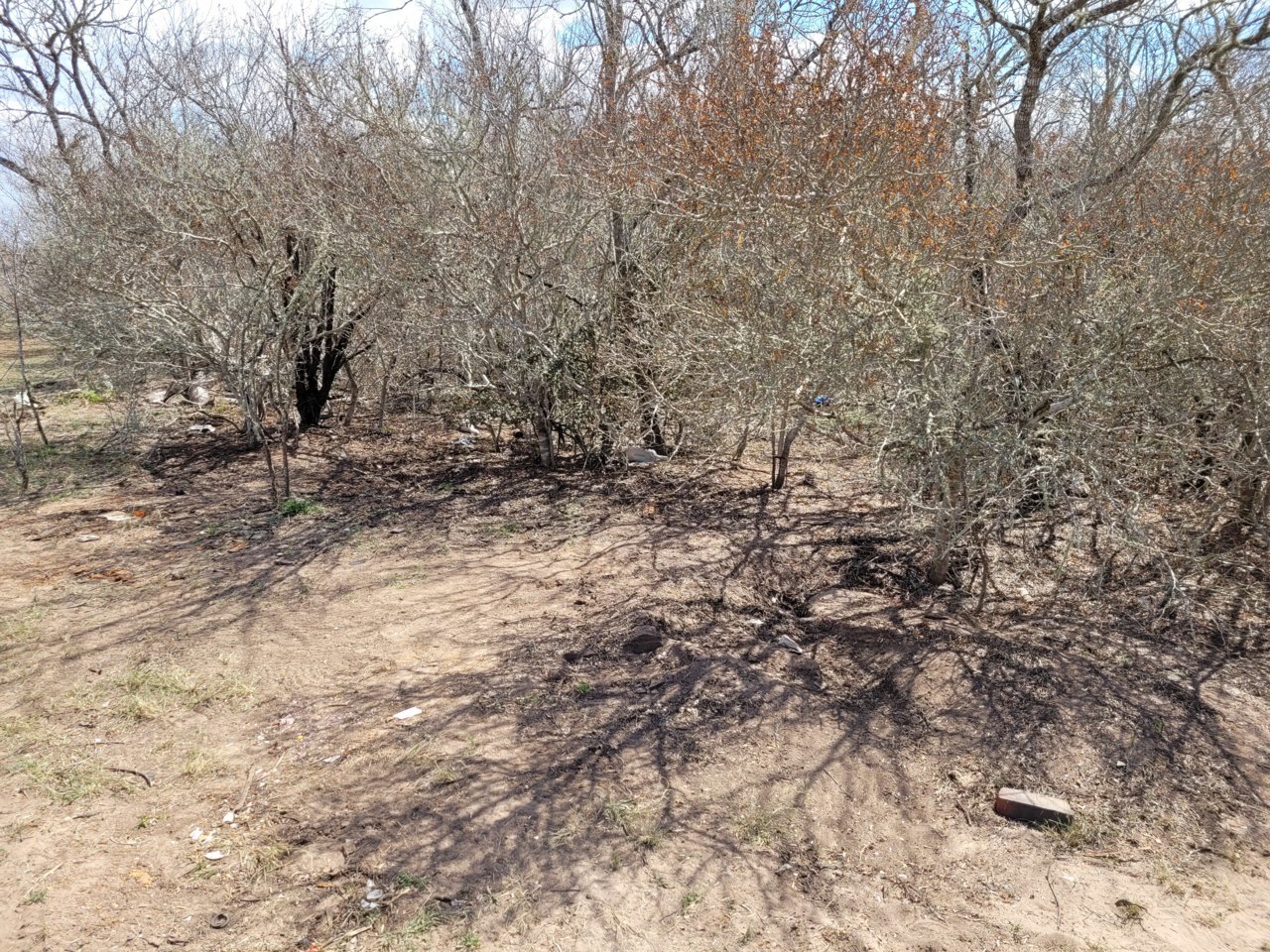 20210309_125432.jpg