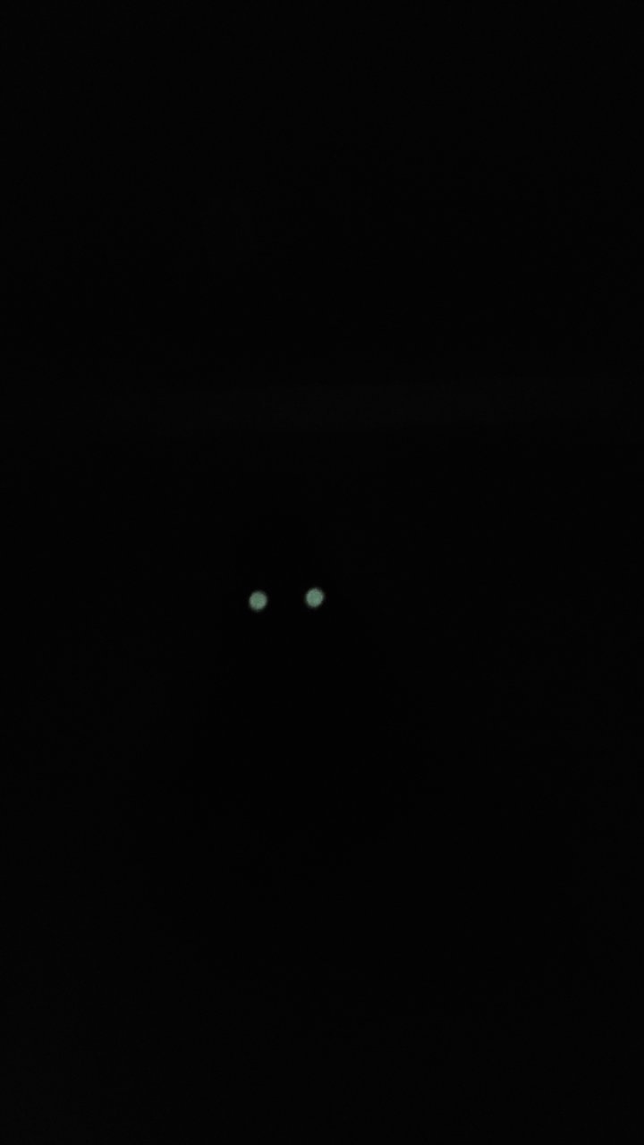 20210309_220053.jpg