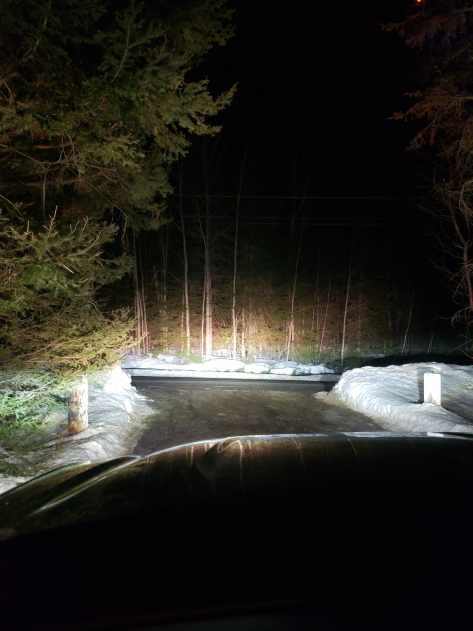 20210310_201537.jpg