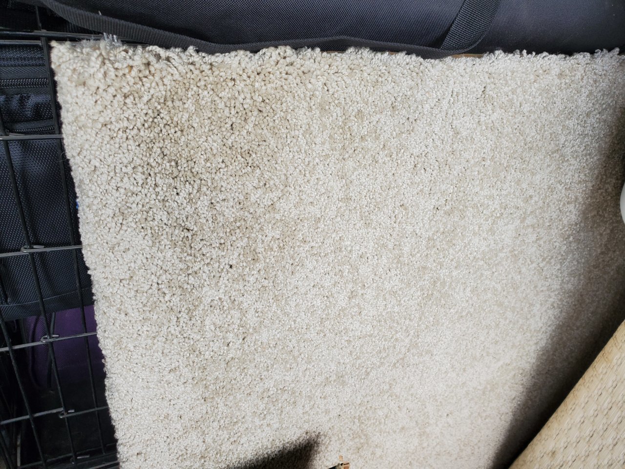 20210311_113239.jpg