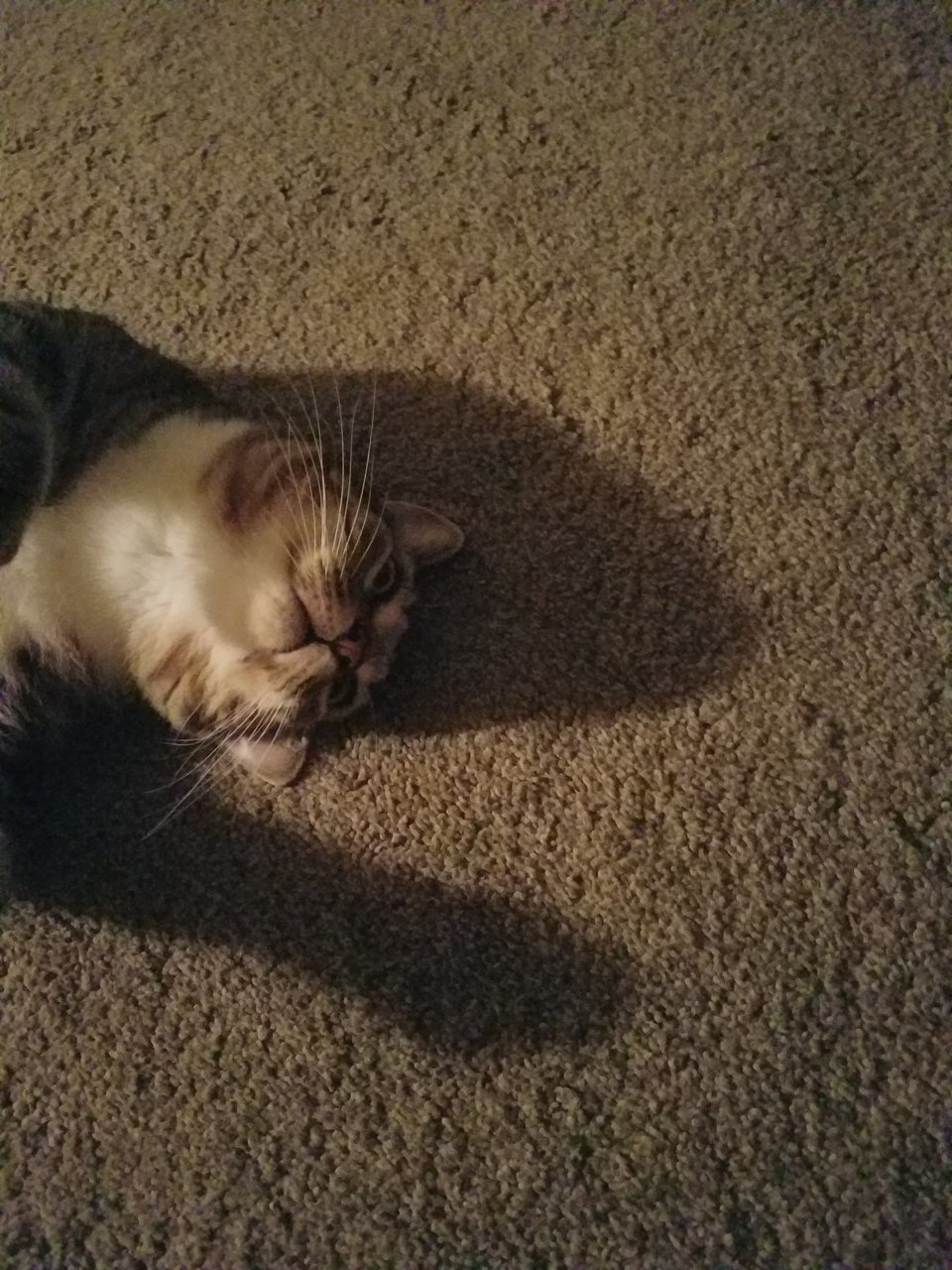 20210312_042451.jpg