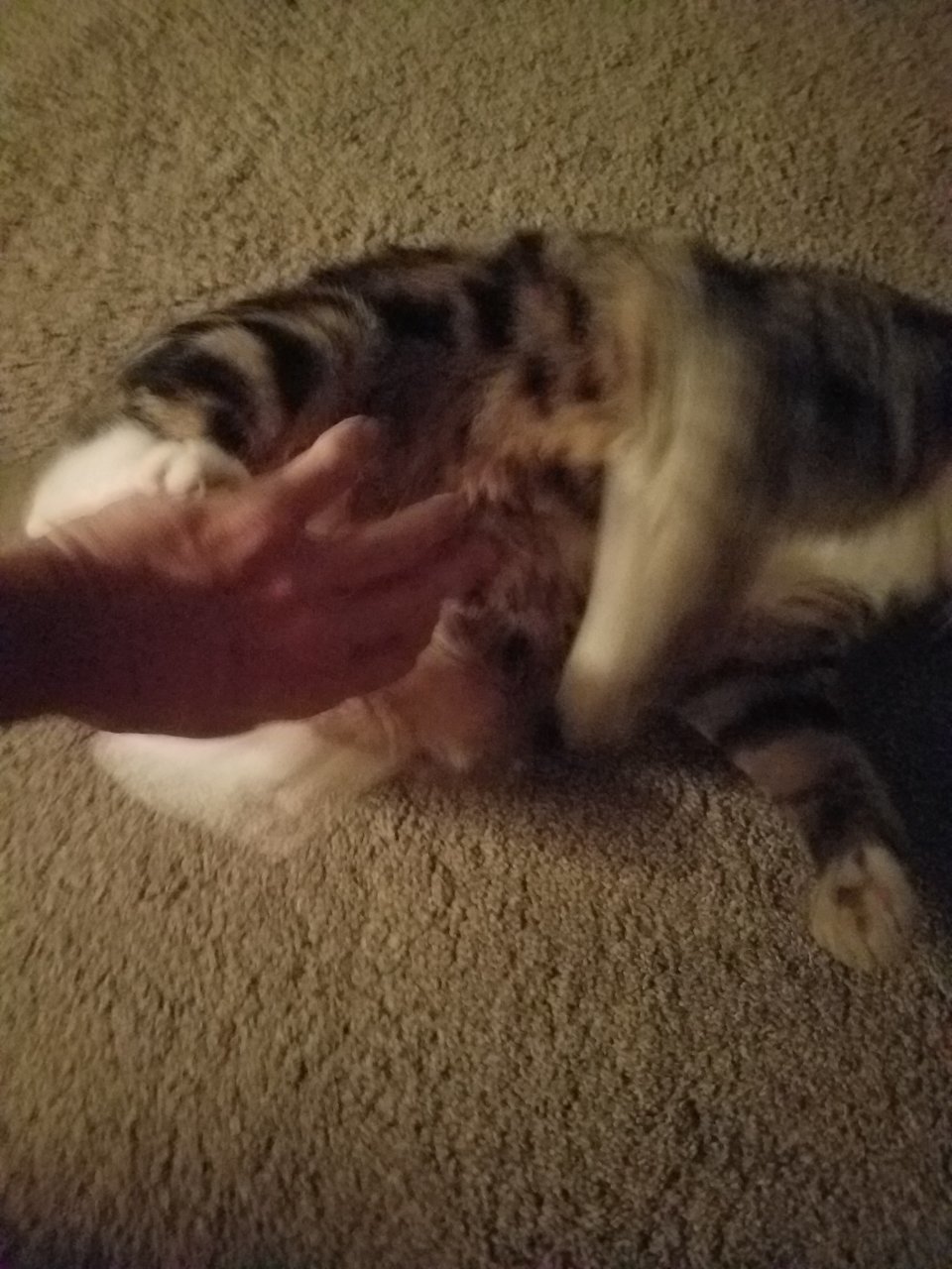 20210312_042501.jpg