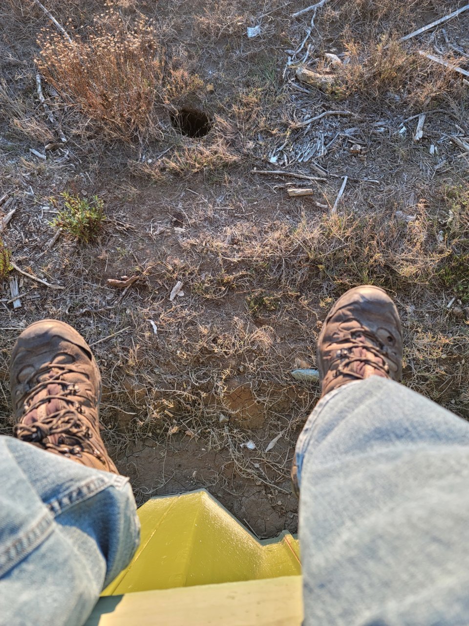 20210312_175132.jpg