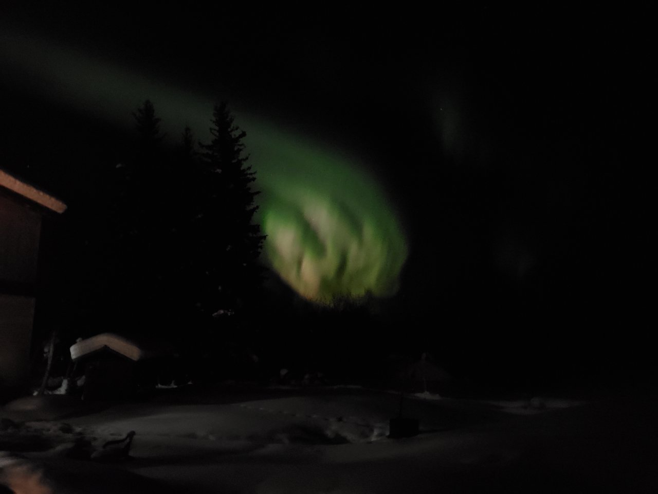 20210313_223518.jpg