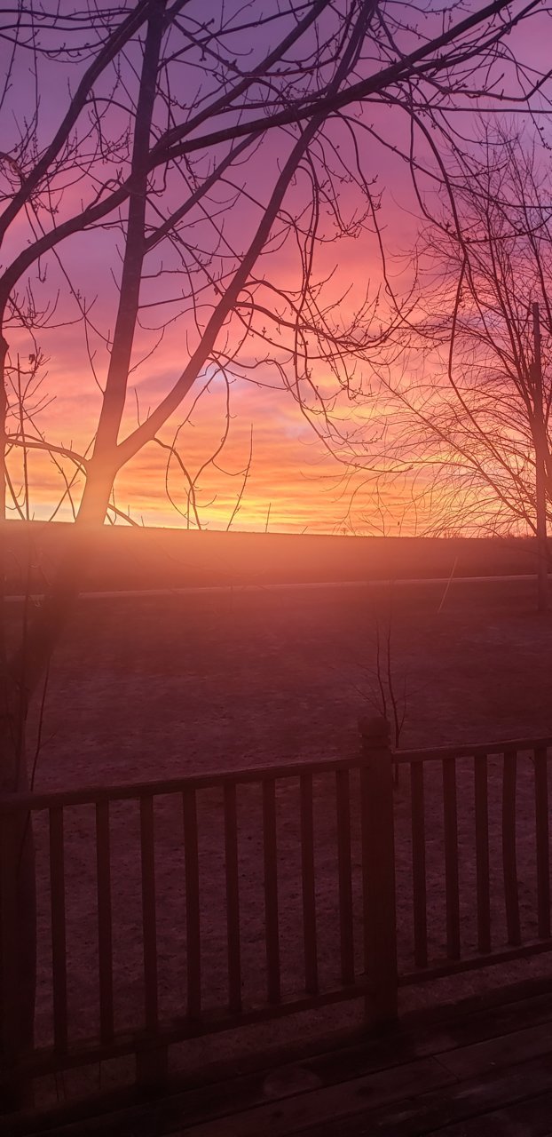 20210315_065439.jpg