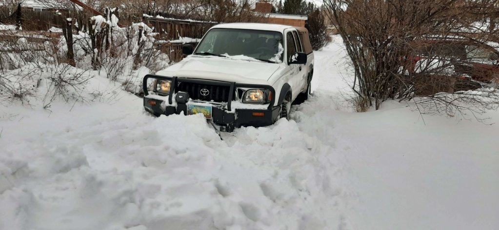 20210315_095037.jpg