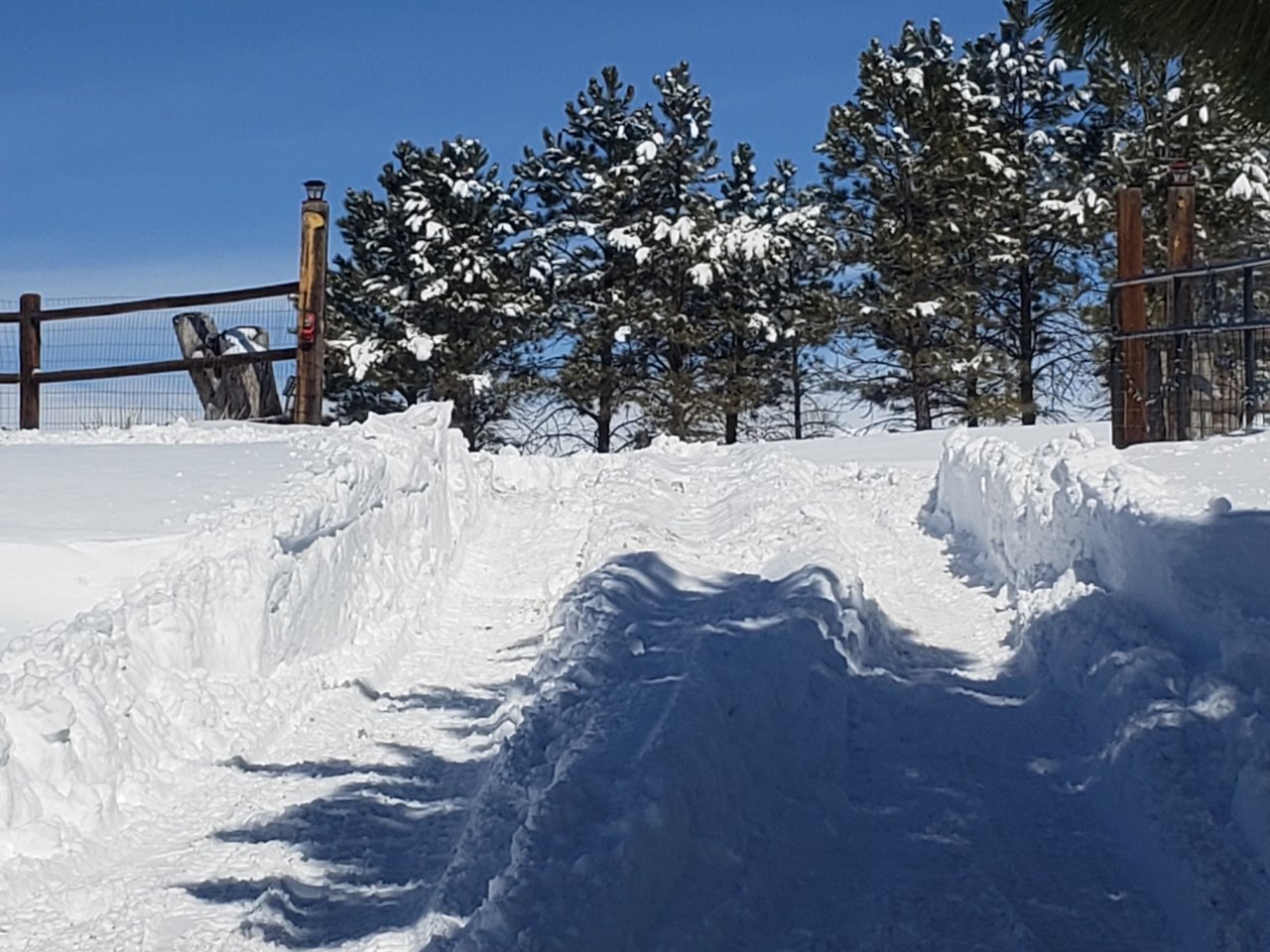 20210315_114633.jpg