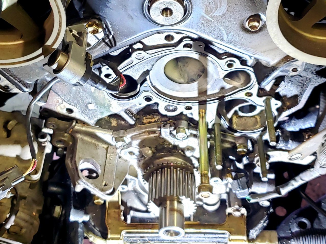 20210315_202821.jpg