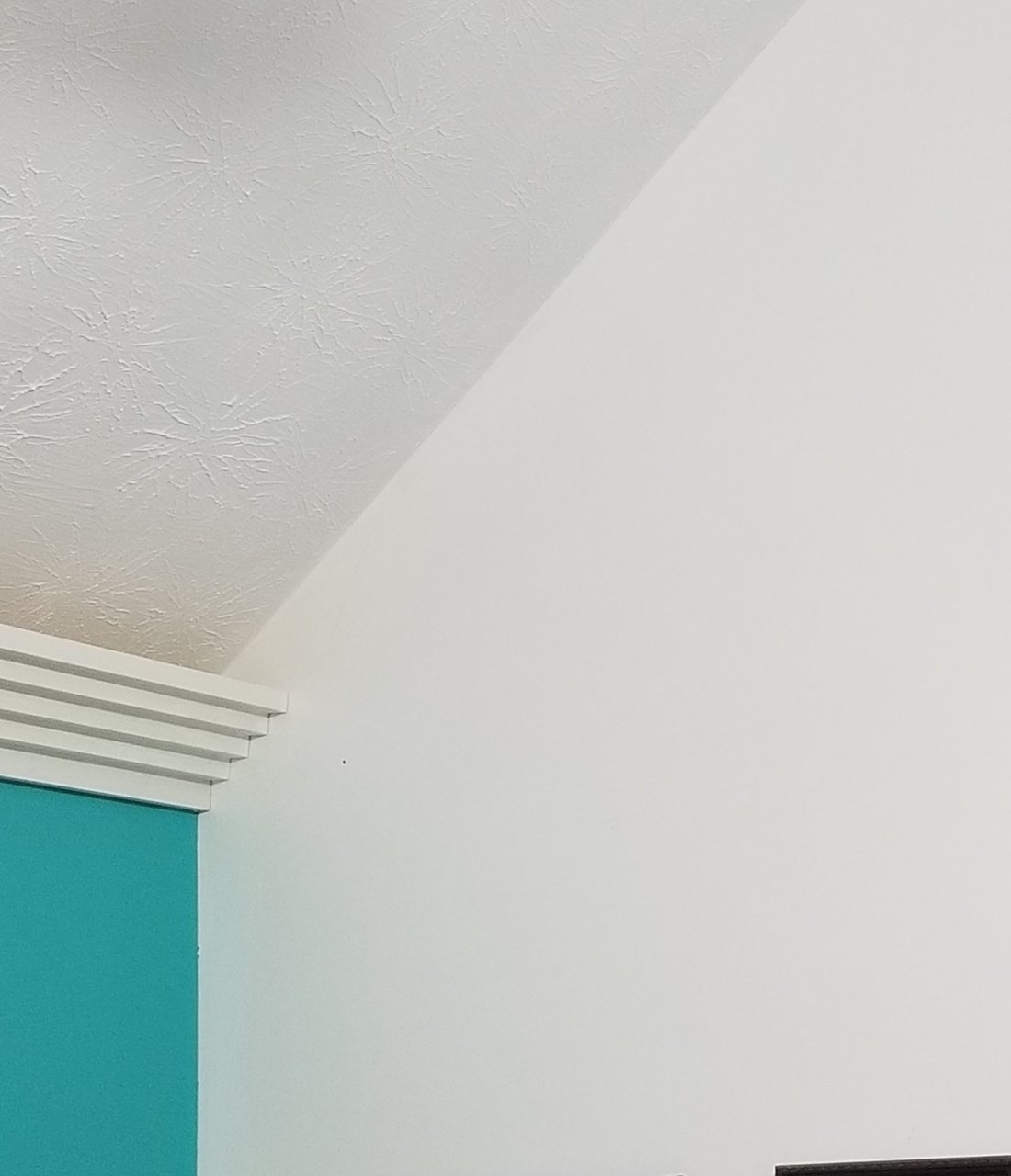 20210316_225408.jpg