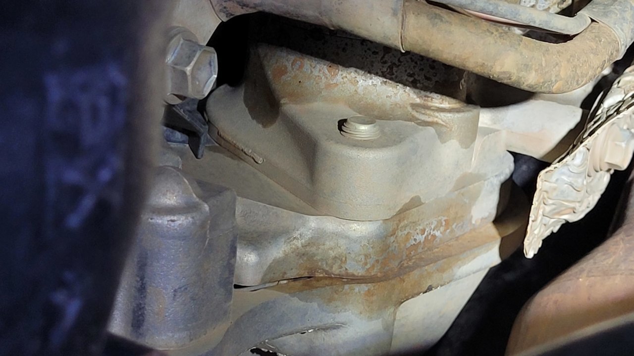 20210317_155555.jpg