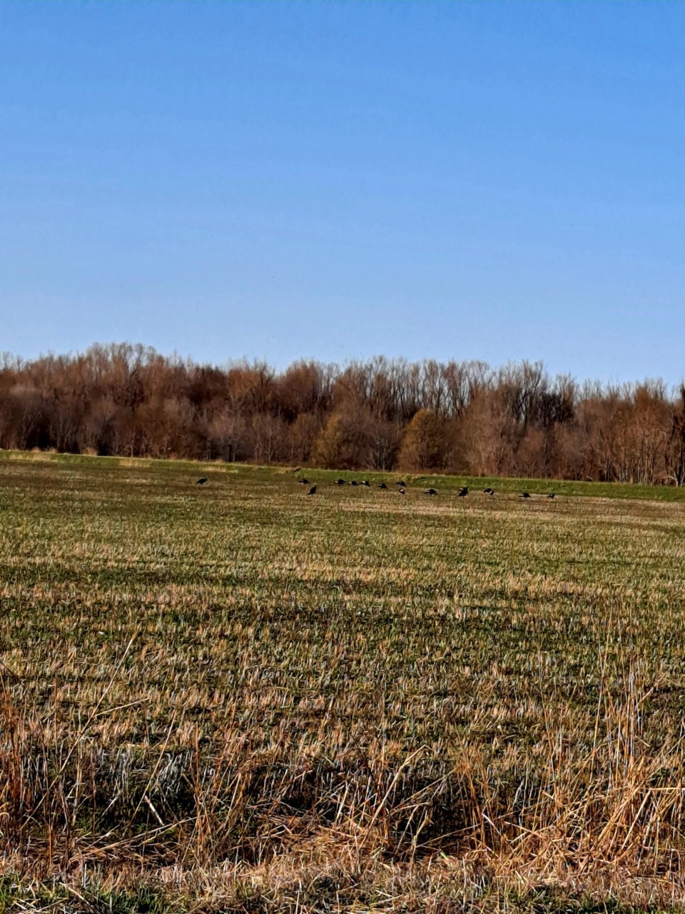 20210319_175101.jpg