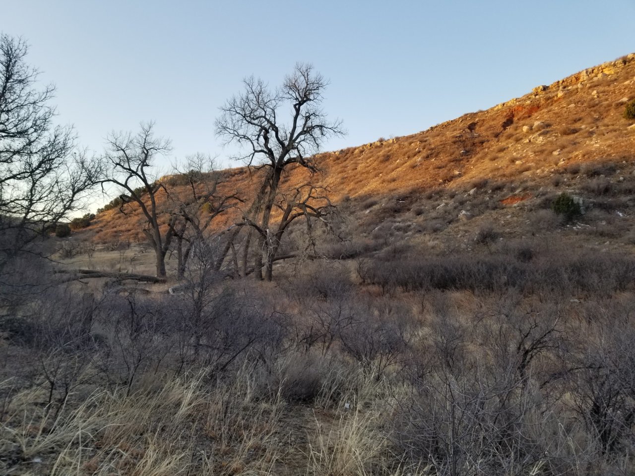 20210320_080916.jpg