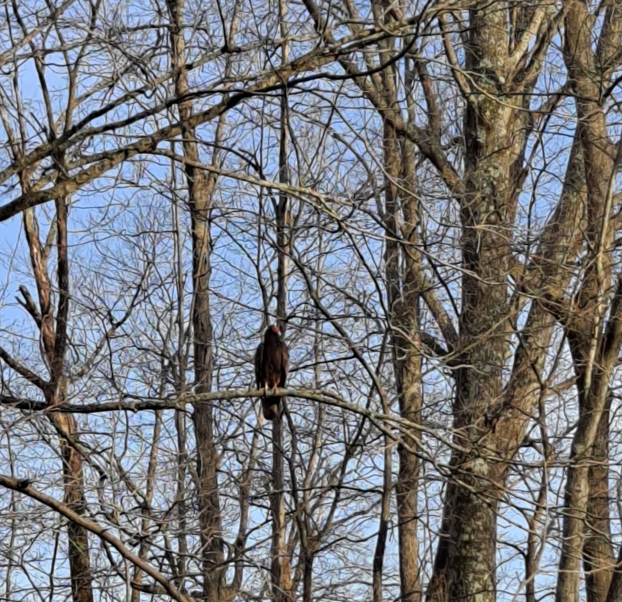 20210322_175123.jpg