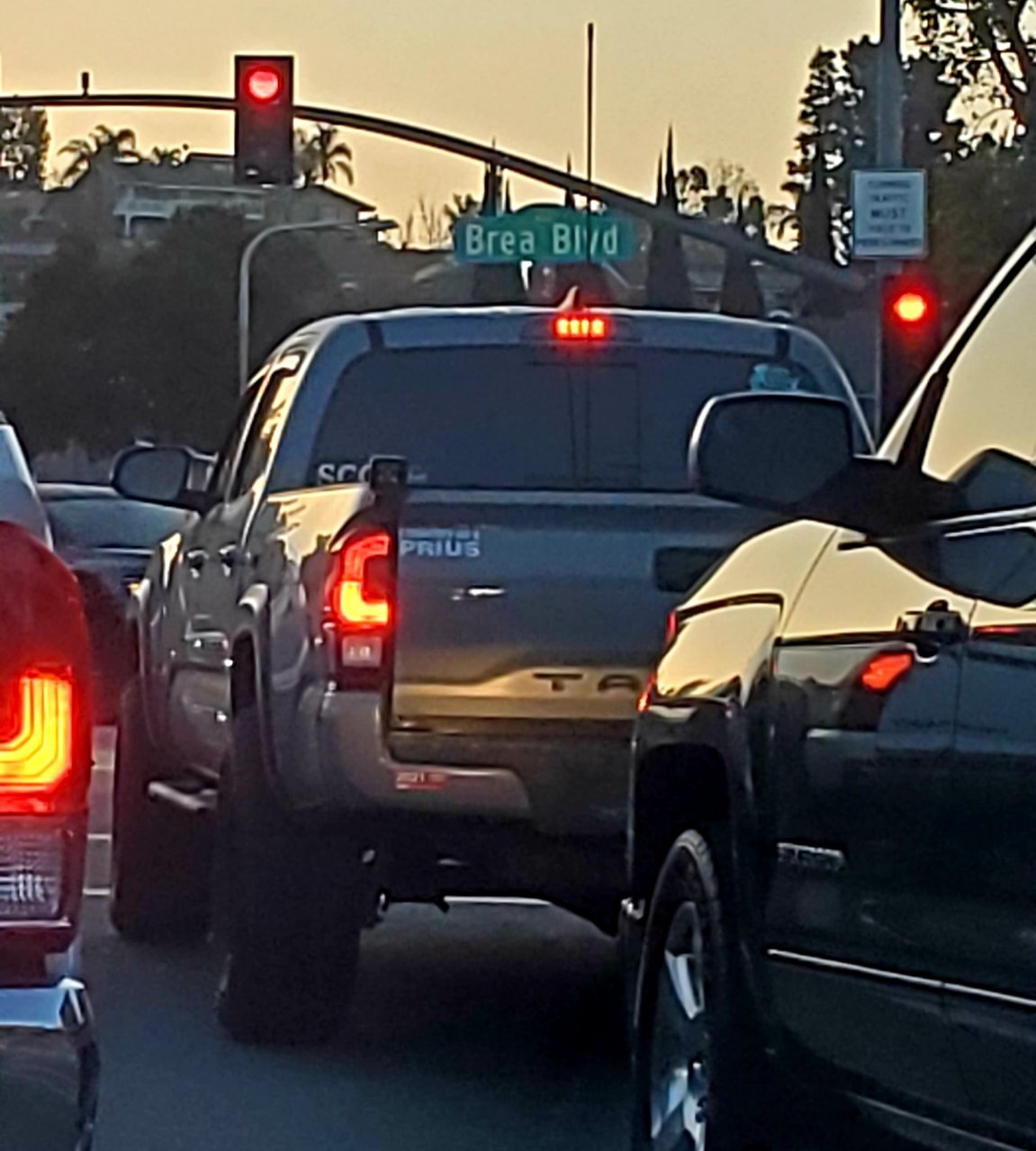 20210323_065939.jpg