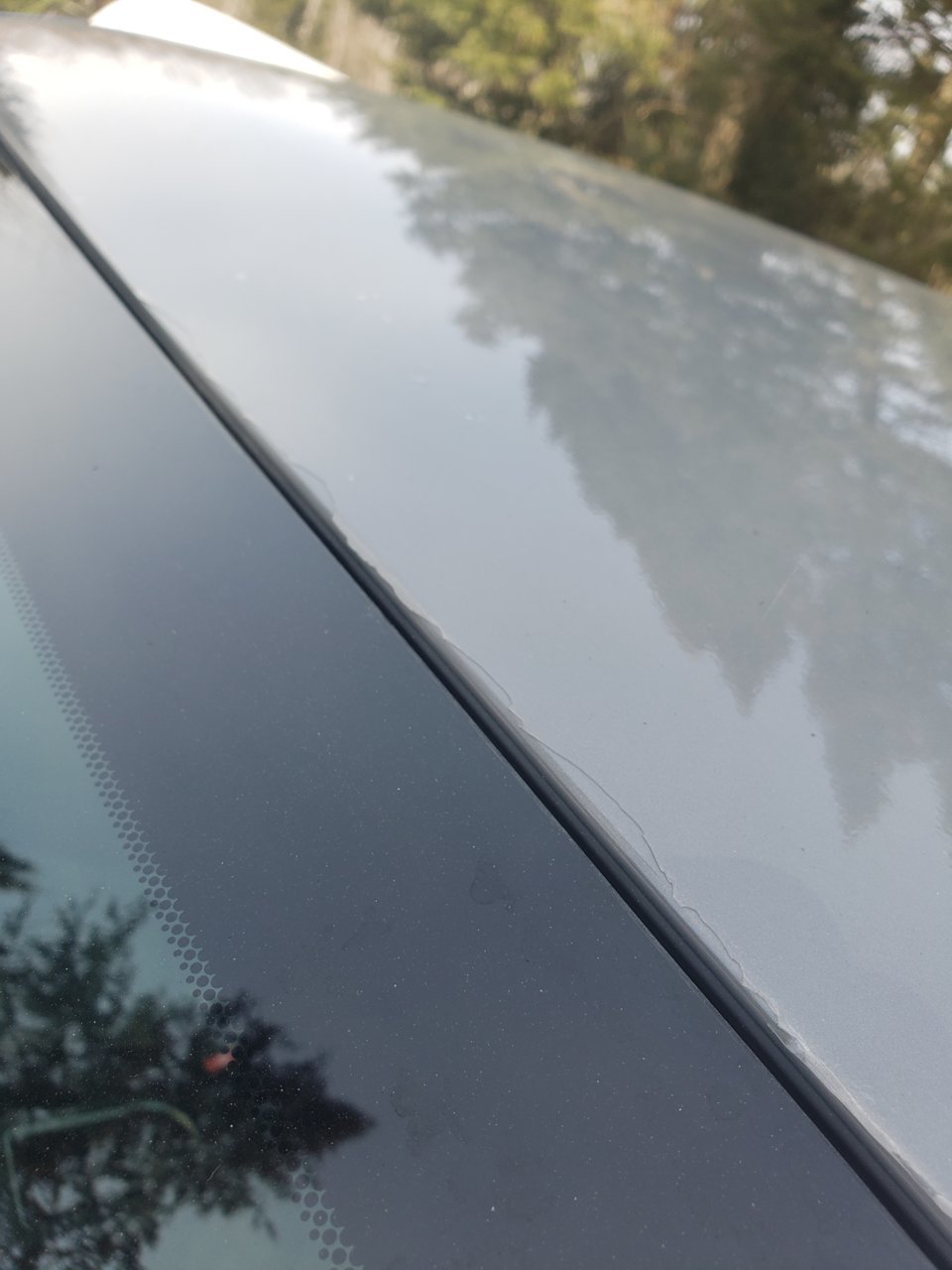 20210323_124450.jpg
