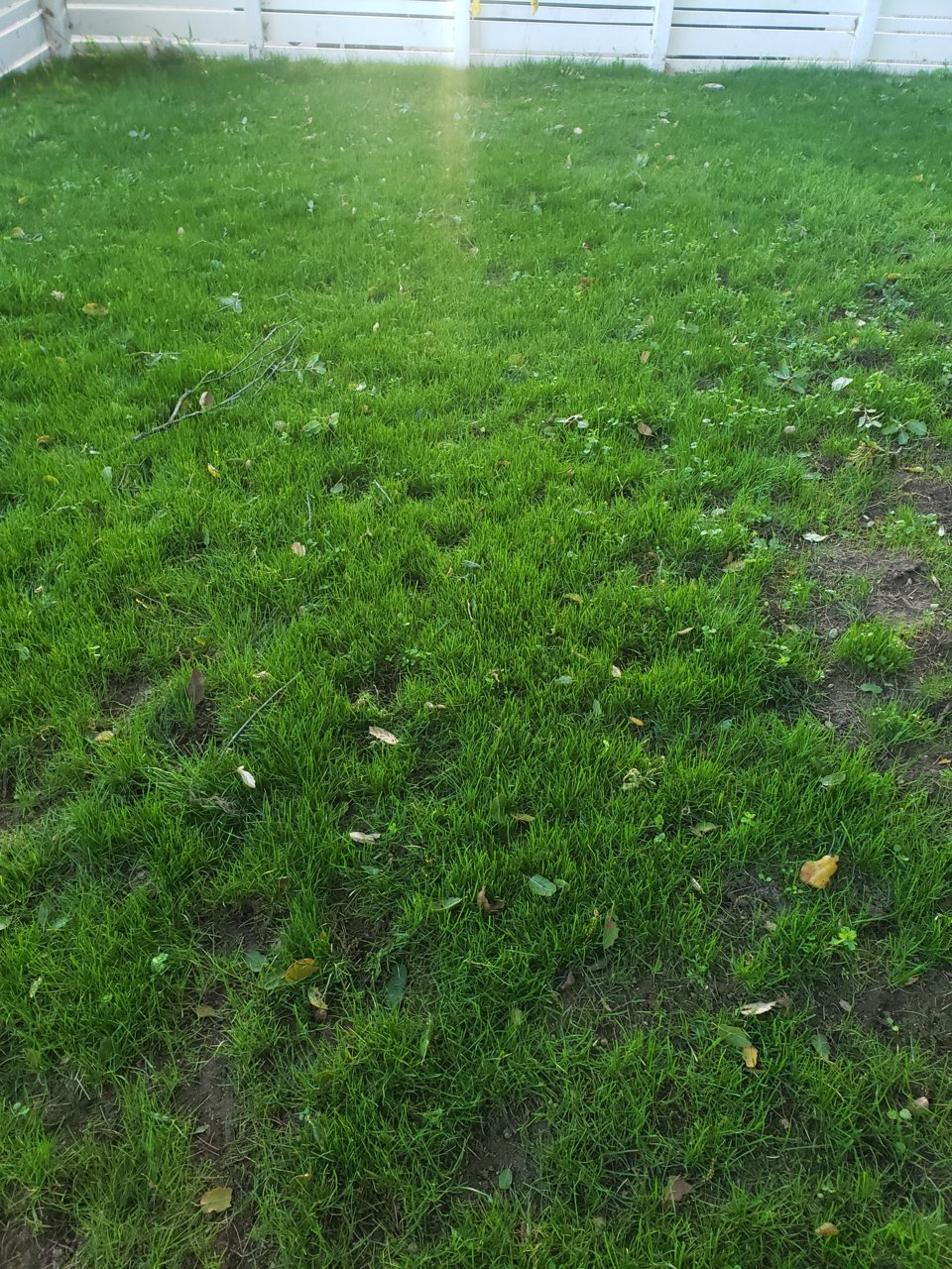 20210324_071616.jpg