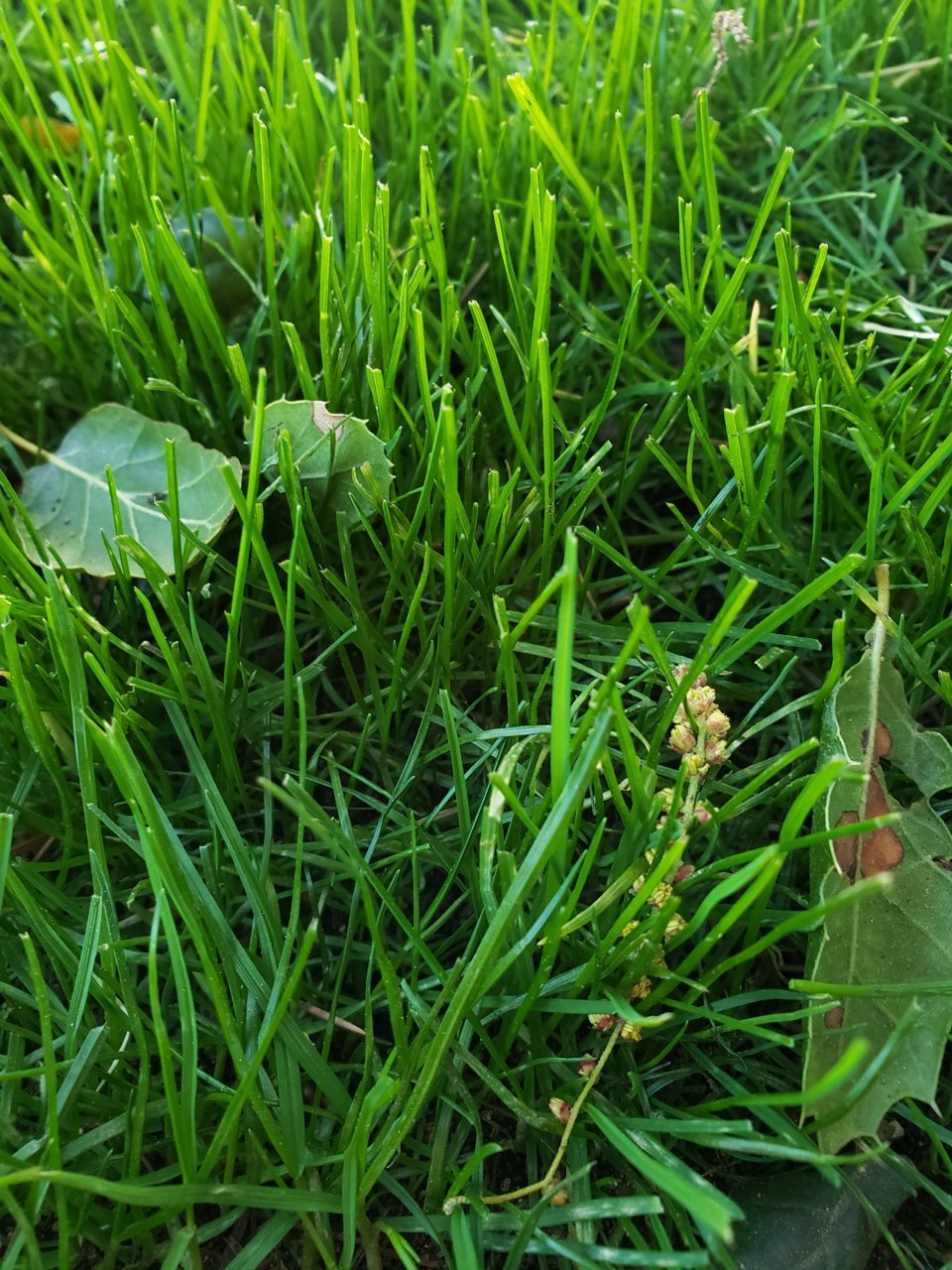 20210324_071635.jpg